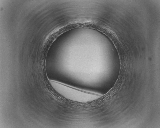 X0000068290920200604210937