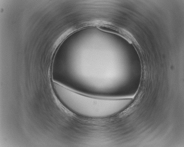 X0000068290946200604210938