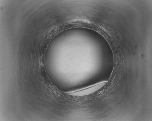 X0000068290965200604210937