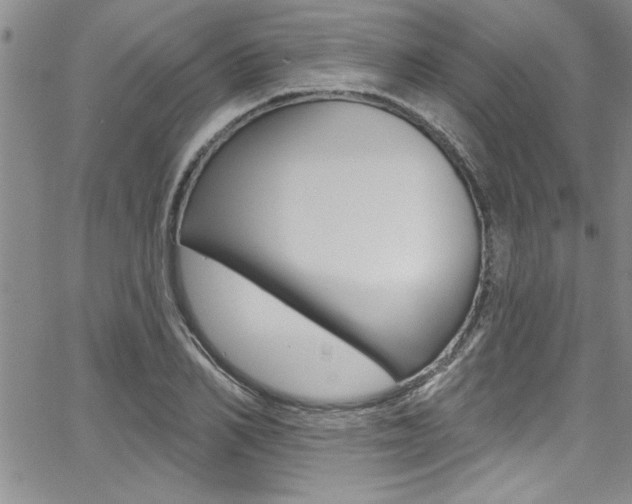 X0000068290982200604210937