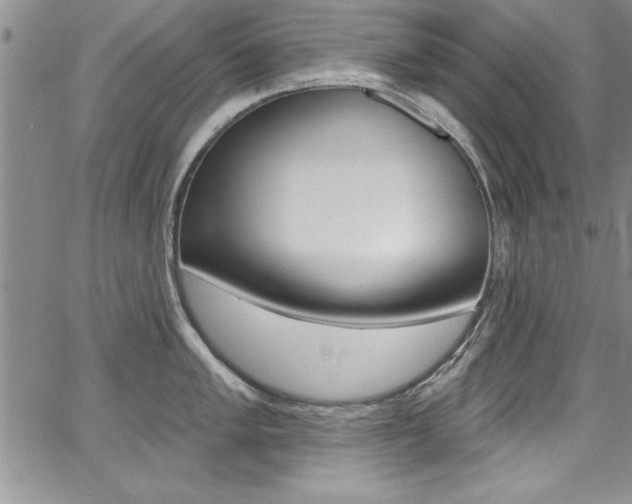 X0000068291005200604210936