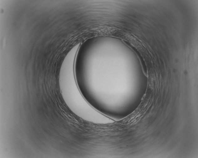 X0000068291010200604210935
