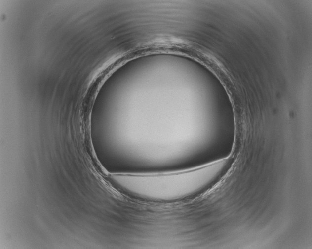 X0000068291018200604210936