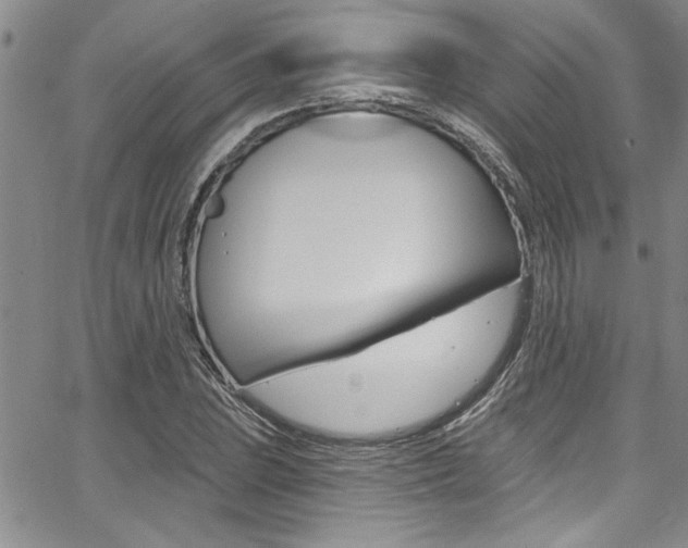 X0000068291023200604210936