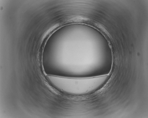 X0000068291026200604210936