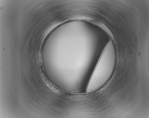 X0000068291044200604210936