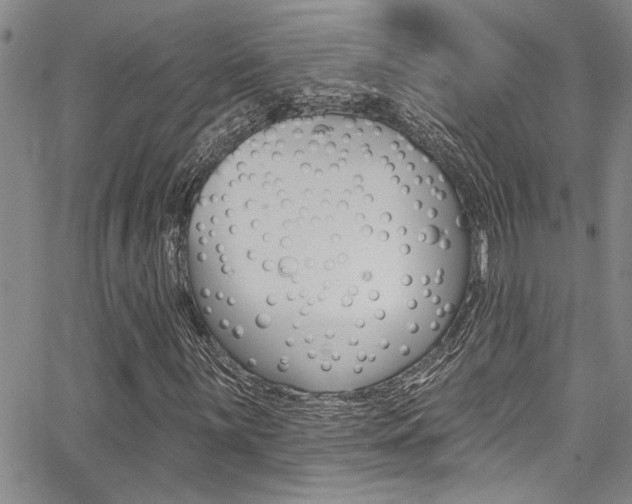 X0000068291059200604210935