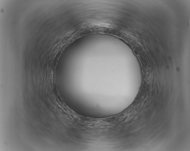 X0000068291061200604210935