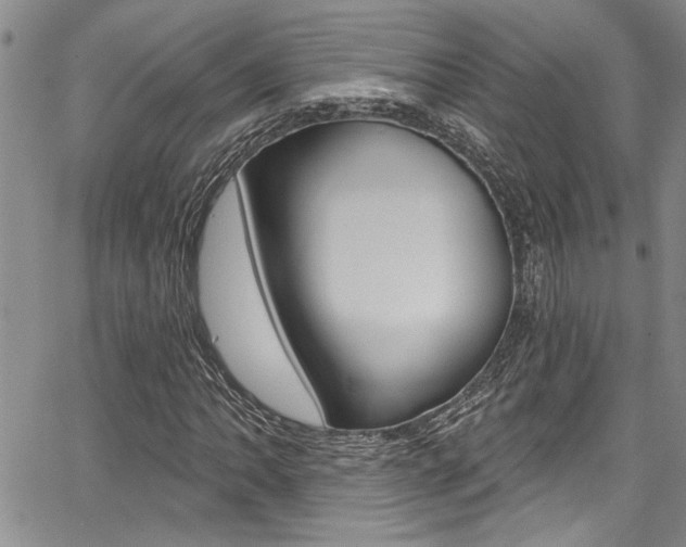 X0000068291062200604210935