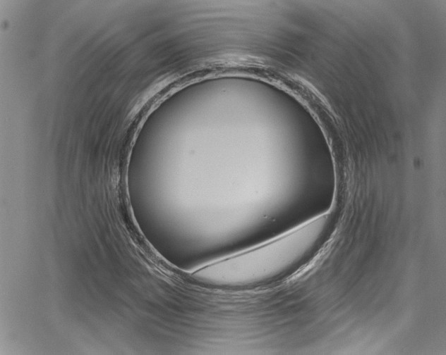 X0000068291065200604210935