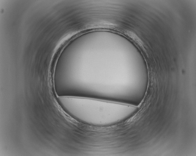 X0000068291072200604210935