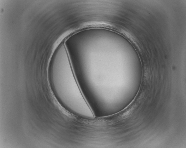 X0000068291082200604210935