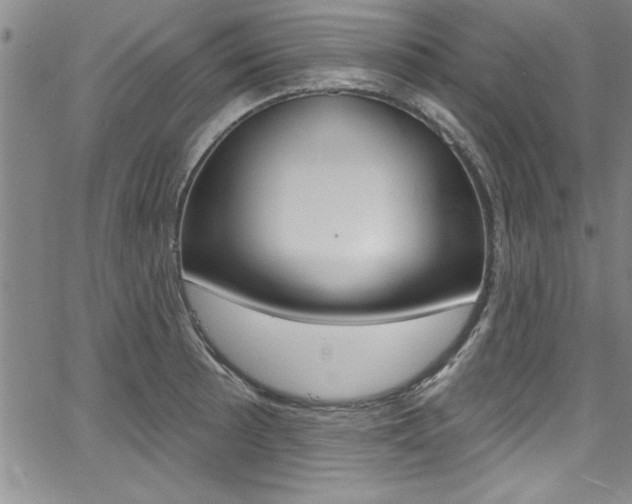 X0000068291089200604210935