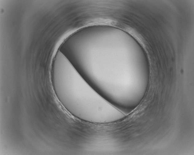 X0000068291104200604210935