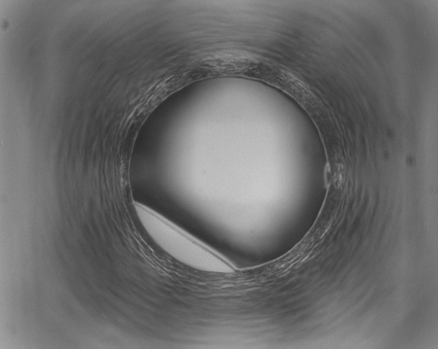 X0000068291108200604210934