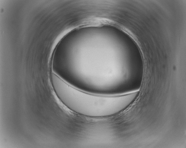 X0000068291152200604210935
