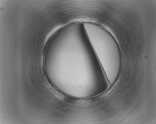 X0000068291179200604210933