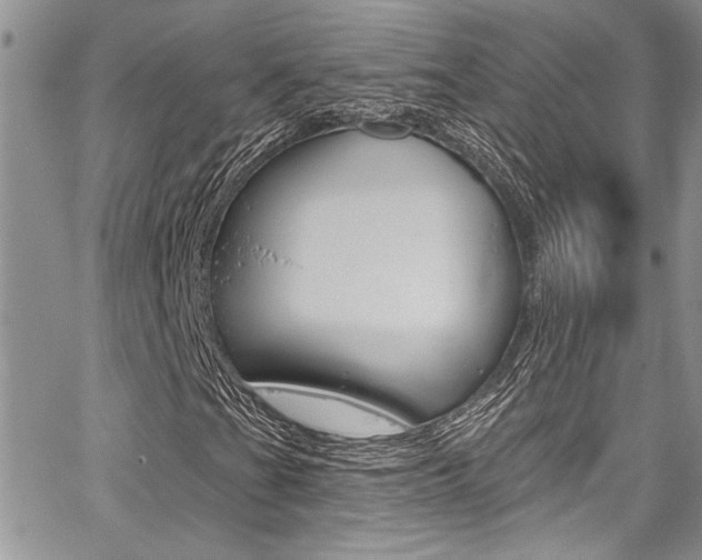 X0000068291201200604210932
