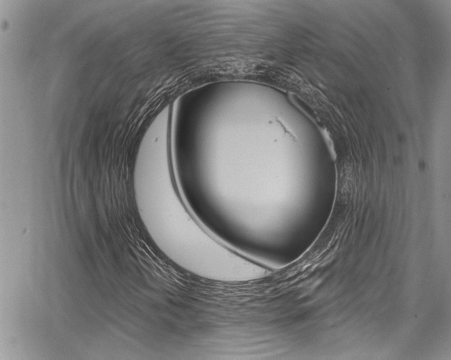 X0000068291202200604210932