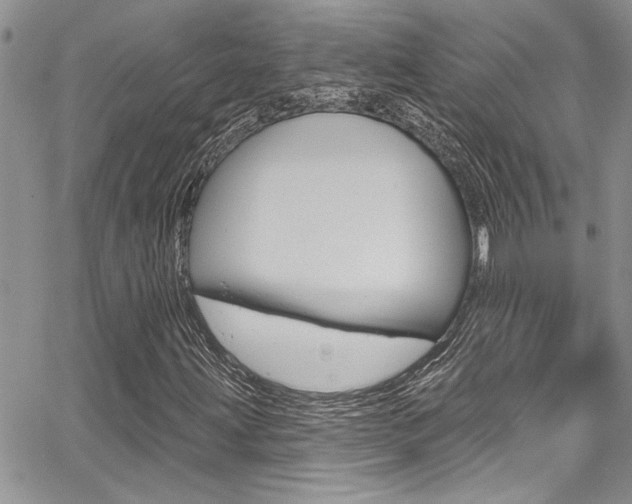 X0000068291203200604210932