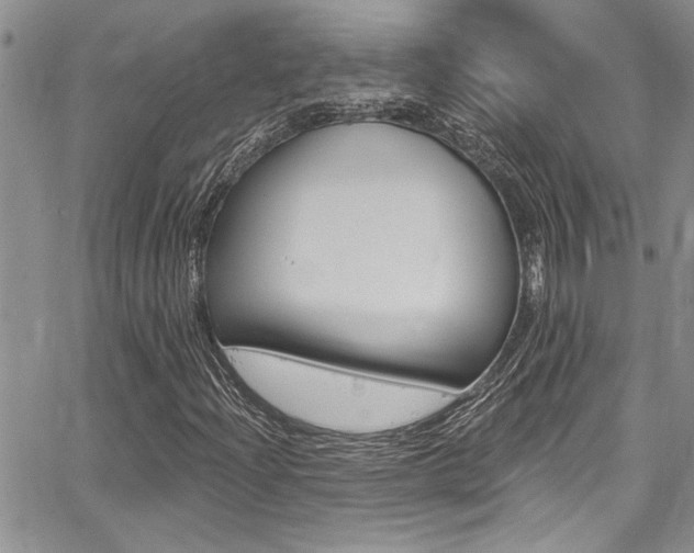 X0000068291204200604210932