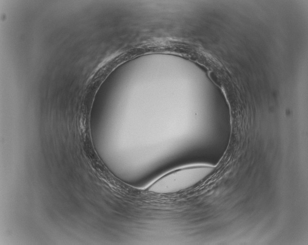 X0000068291206200604210932