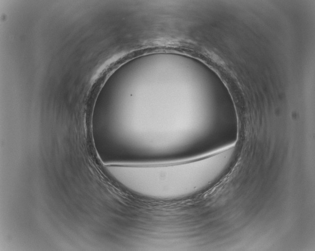 X0000068291214200604210933