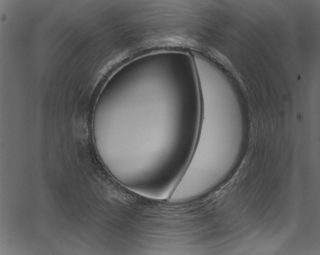 X0000068291218200604210933