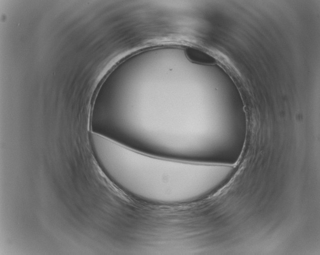 X0000068291228200604210933
