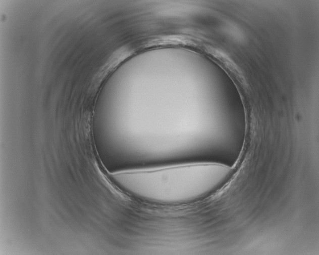 X0000068291233200604210933