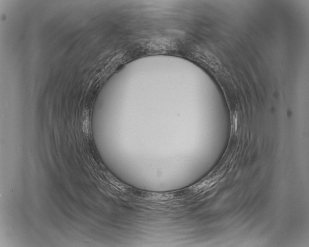X0000068291251200604210932