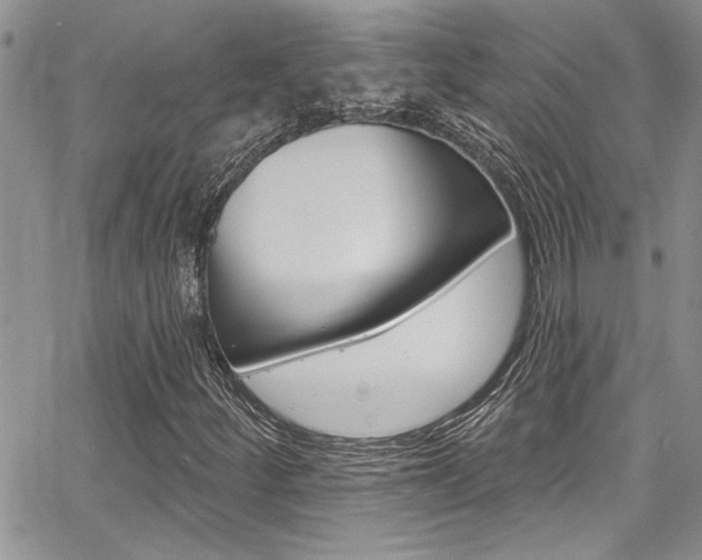 X0000068291252200604210932