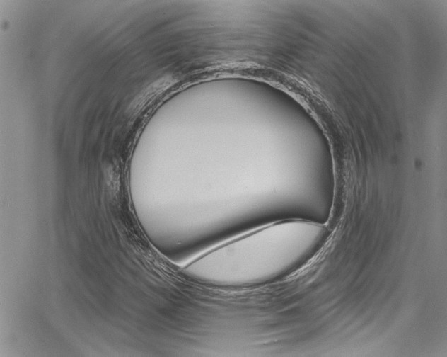 X0000068291257200604210932