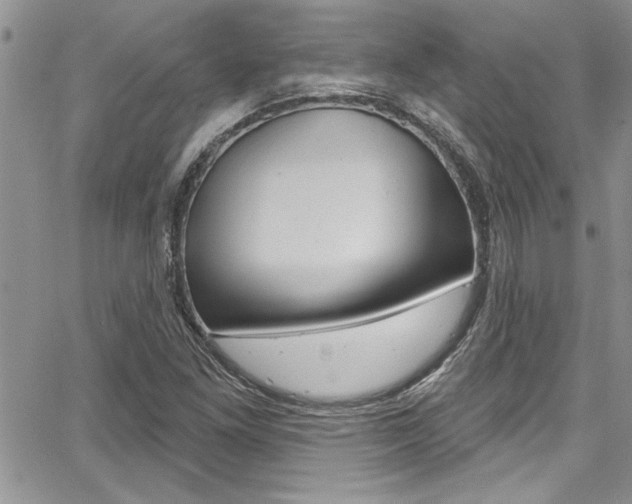 X0000068291261200604210932