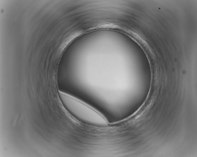 X0000068291281200604210932