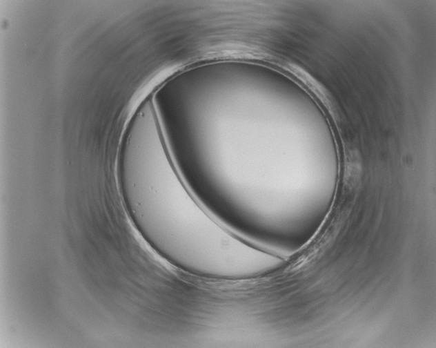 X0000068291293200604210932