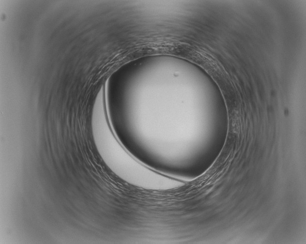 X0000068291298200604210931