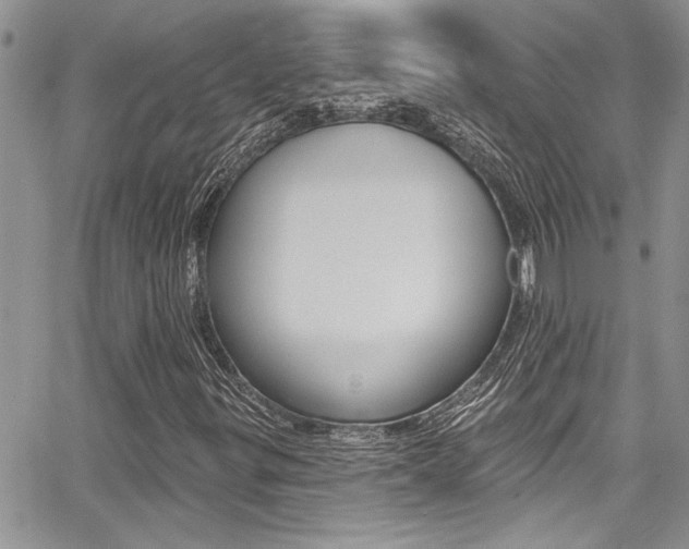 X0000068291299200604210931