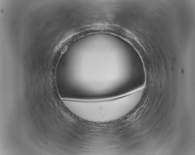 X0000068291304200604210931