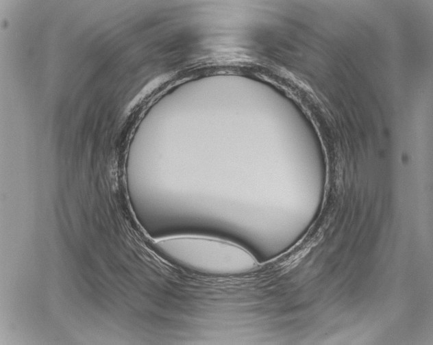 X0000068291306200604210931