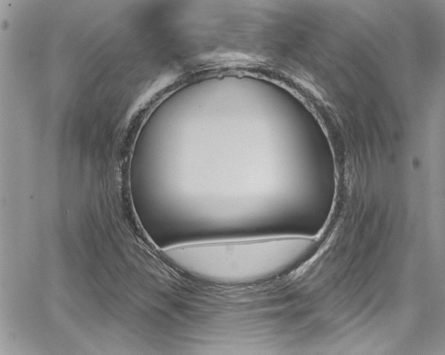 X0000068291309200604210931