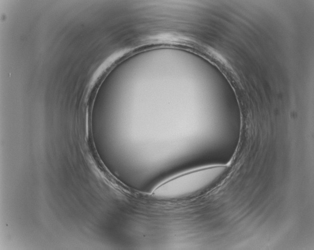 X0000068291323200604210931