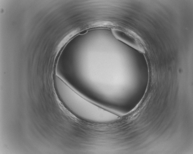 X0000068291330200604210931