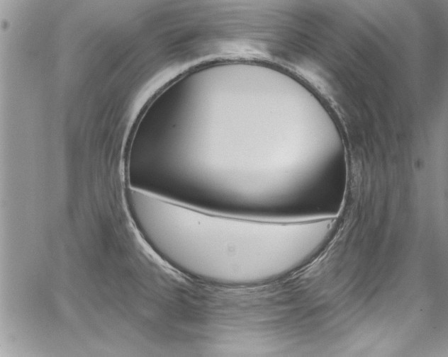 X0000068291335200604210931