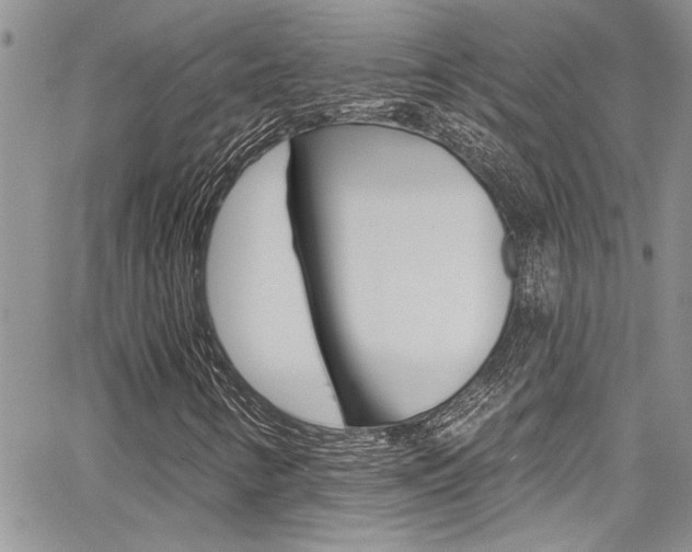 X0000068291346200604210931