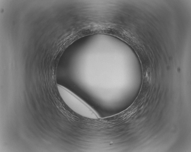 X0000068291348200604210931