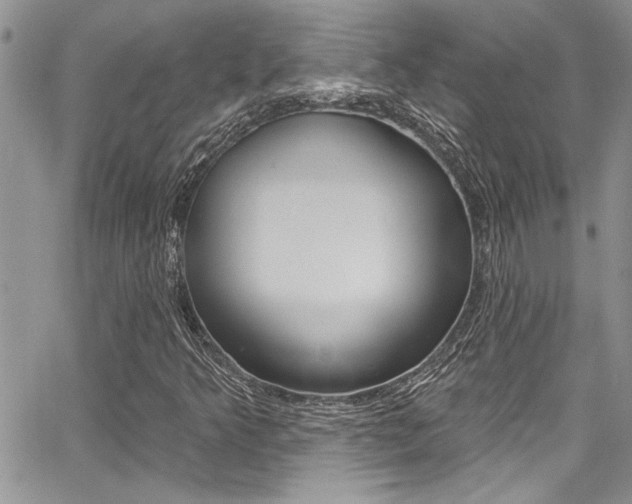 X0000068291349200604210931