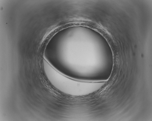 X0000068291352200604210931