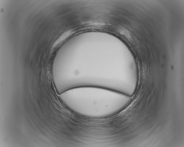 X0000068291354200604210931