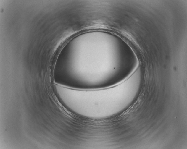 X0000068291356200604210931